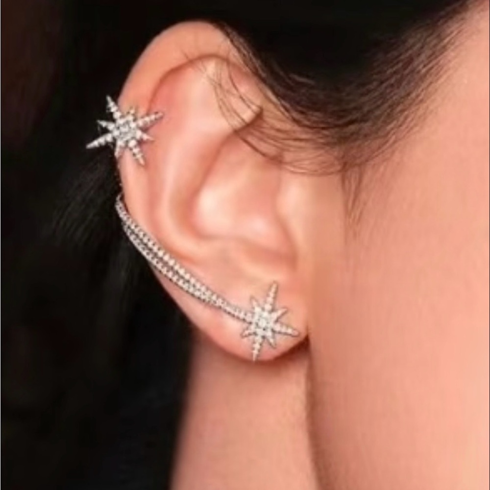 APM Asymmetrical Double Meteorites Earrings-Sterling Silver - Picture 2 of 8